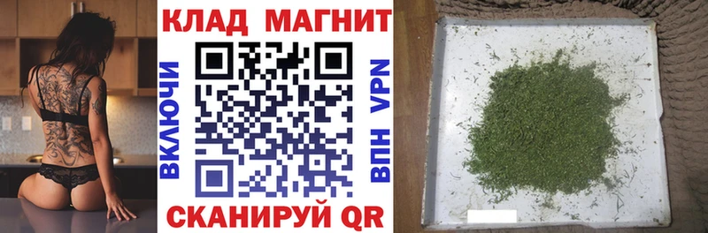 Виды наркотиков купить Можга А ПВП  Гашиш  Каннабис 