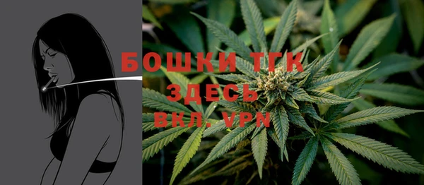 прущие грибы Армянск