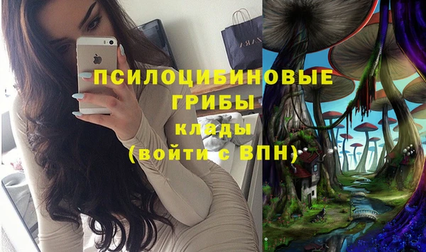 мяу мяу мука Балабаново