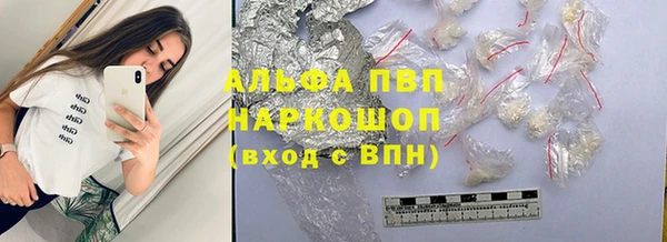 прущие грибы Армянск