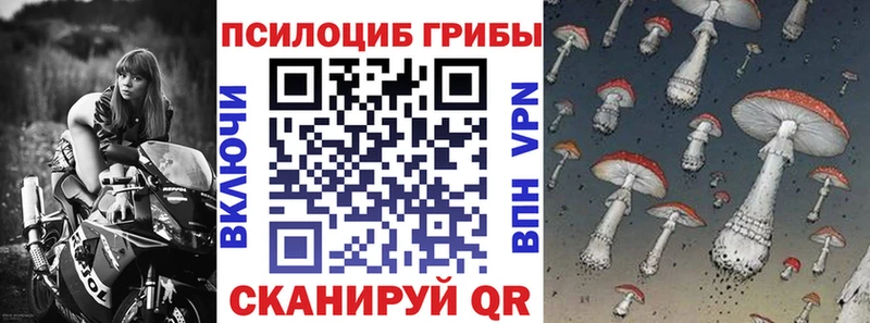как найти закладки  Можга  Галлюциногенные грибы Magic Shrooms 