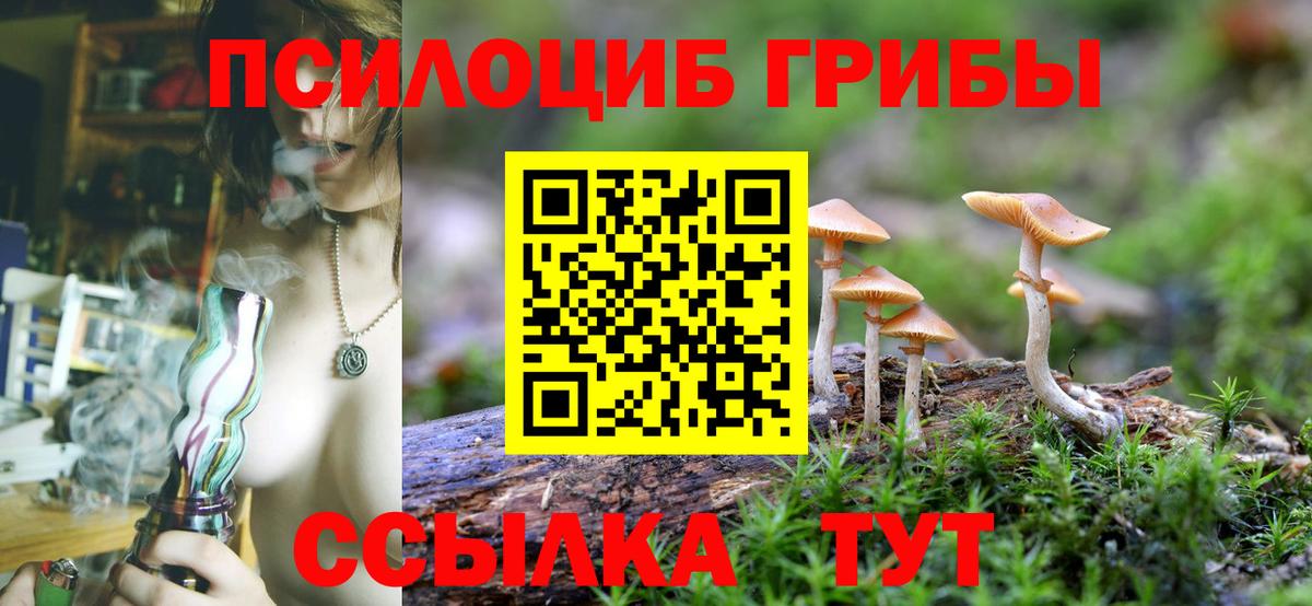 Можга  Галлюциногенные грибы прущие грибы  Вход с VPN 