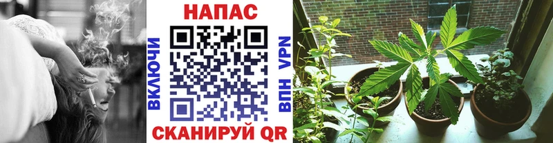 darknet состав Можга Каннабис конопля