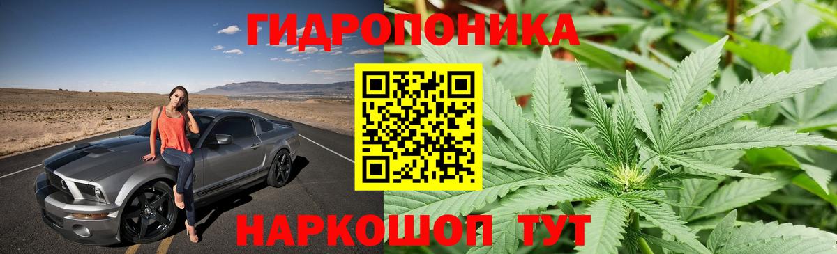 Марихуана тримм Можга